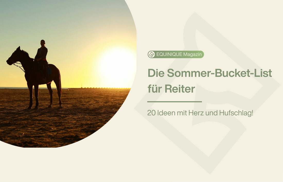 Die Sommer-Bucket-List für dich und dein Pferd!