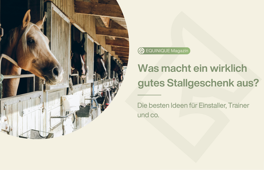 Was macht ein wirklich gutes Stallgeschenk aus? Ideen für Einstaller, Trainer & co.