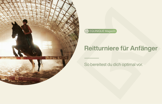 Ein Guide zum Thema Reitturnier für alle Anfänger