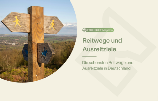 Die schönsten Reitwege Deutschlands