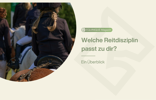 Welche Reitdisziplin passt zu dir? Ein Überblick