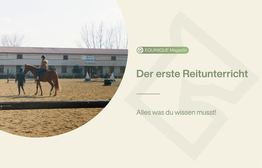 Der erste Reitunterricht ist aufregend. Hier erfährst du alles was du wissen musst!