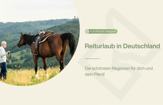 Entdecke die schönsten Regionen Deutschlands für den perfekten Reiturlaub!