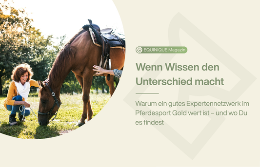 pferdeexperten finden