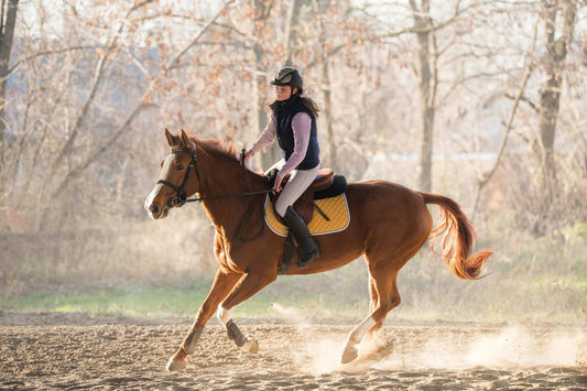 Ein sicherer Umgang mit dem Pferd ist wichtig um Verletzungen und Unfälle beim Reiten zu vermeiden.