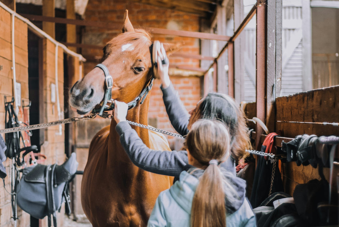 Der Alltag eines Reiters: Die Arbeit im Stall und die Pflege des Pferdes.