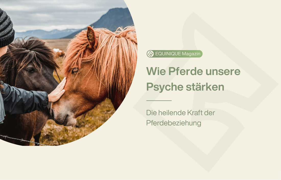 Die Beziehung zu Pferden hat einen positiven Effekt auf unsere Psyche.