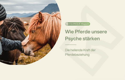 Die Beziehung zu Pferden hat einen positiven Effekt auf unsere Psyche.
