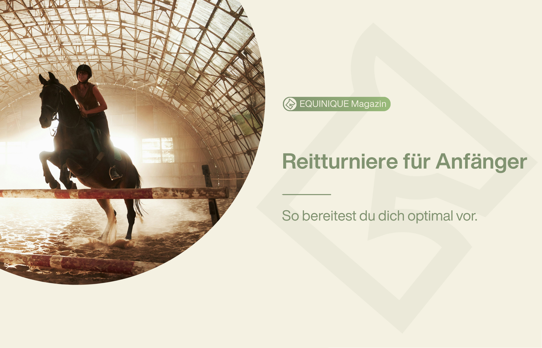 Ein Guide zum Thema Reitturnier für alle Anfänger