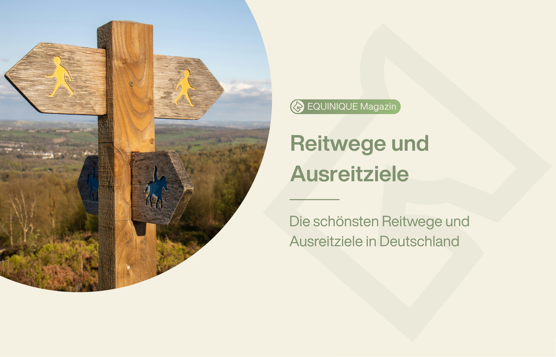 Die schönsten Reitwege Deutschlands