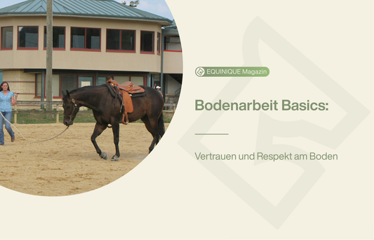 Bodenarbeit: Eine Frau führt ihr Pferd an der Leine. Dieser Beitrag erklärt dir wie du Vertrauen und Respekt am Boden erhältst.