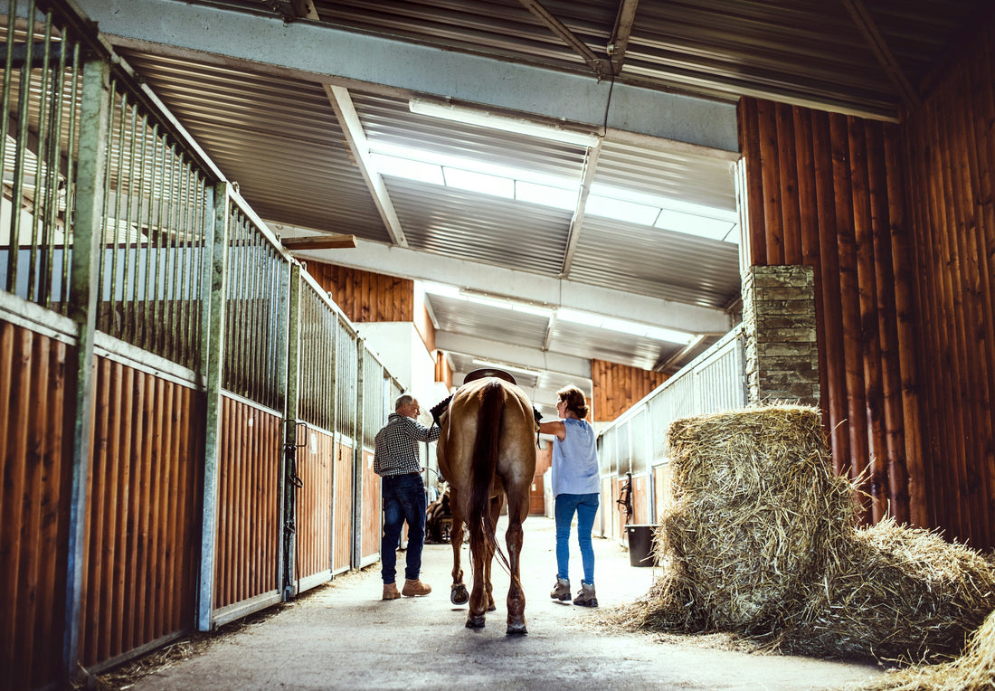 Eine Reitbeteiligung bedeutet auch die Verantwortung und Stallarbeit zu teilen.